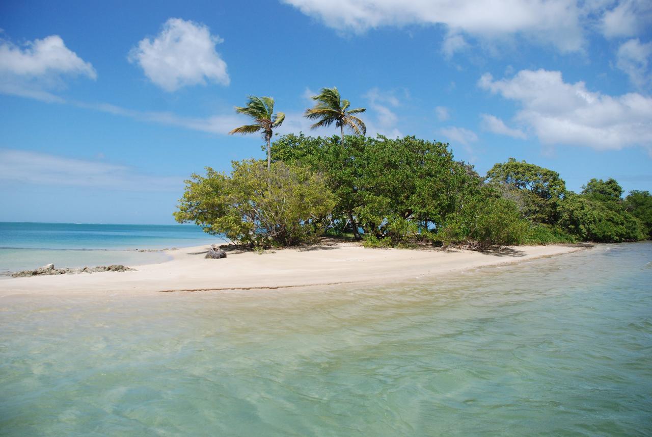 Buccoo Reef View Hotel Eksteriør billede